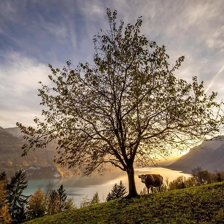 Alpine Hideaway Near Brienz With Hot Tub & Parking Kienholz