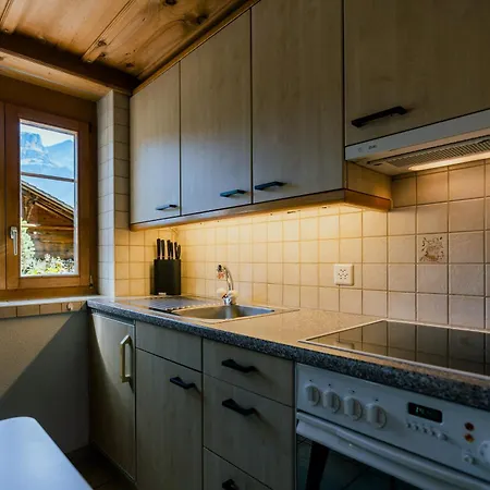 Alpine Hideaway Near Brienz With Hot Tub & Parking Apartamento *