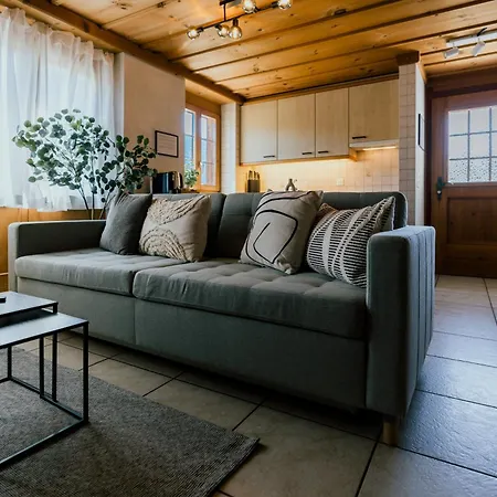 Apartment Alpine Hideaway Near Brienz With Hot Tub & Parking Kienholz